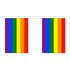 Rainbow Bunting 9m (30 flags)